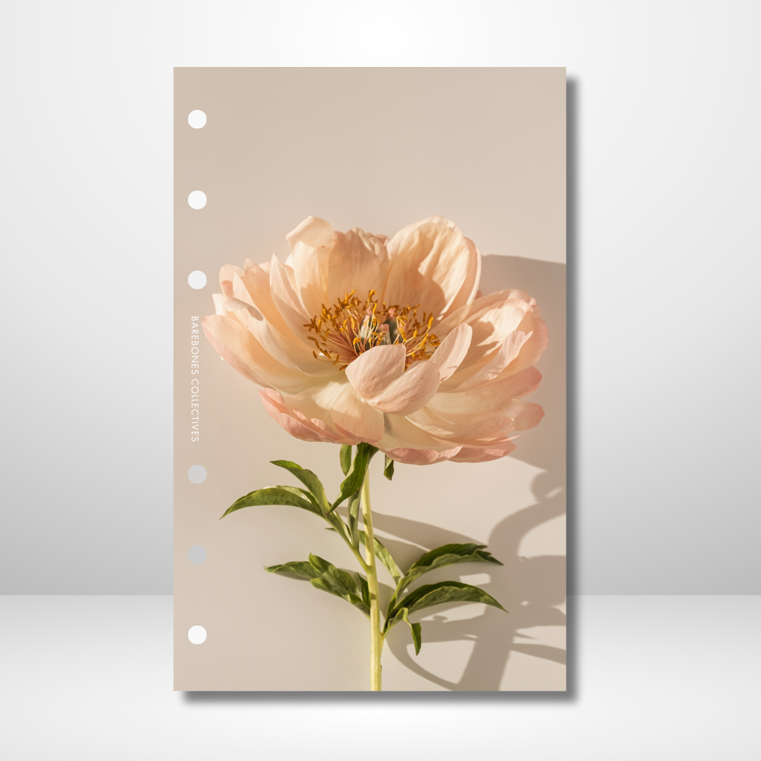 In Bloom Linen Dashboard