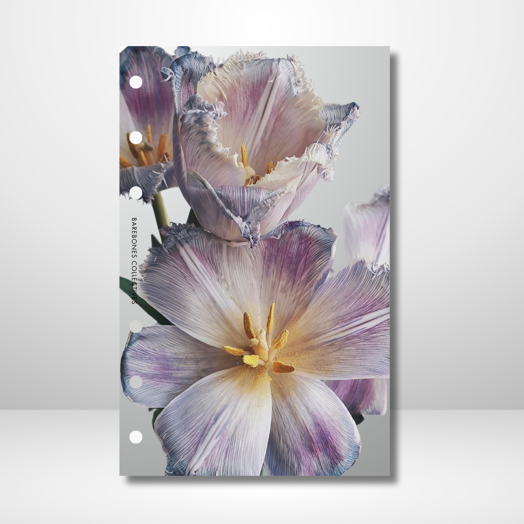 Tranquility Linen Dashboard