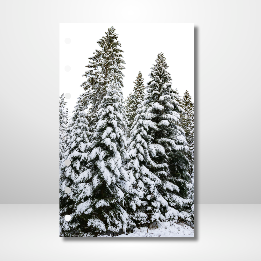 Winter Pine Trees Linen Dashboard