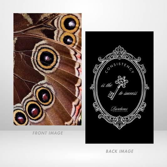 Eyes Of A Moth Dashboard