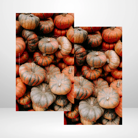 Pumpkin Patch Soft Touch Dashboard