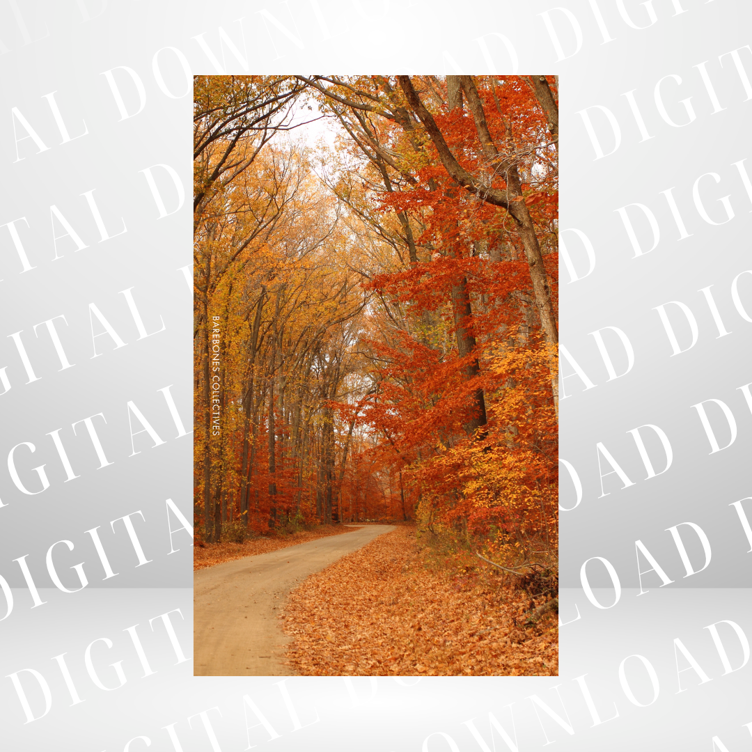 #9 Halloween Spooky - Personal Size Dashboard DIGITAL DOWNLOAD