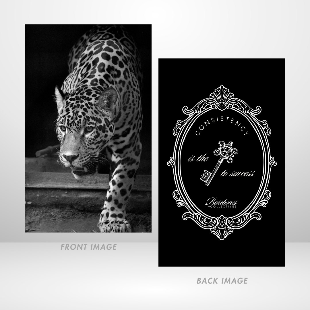 On the Prowl Dashboard