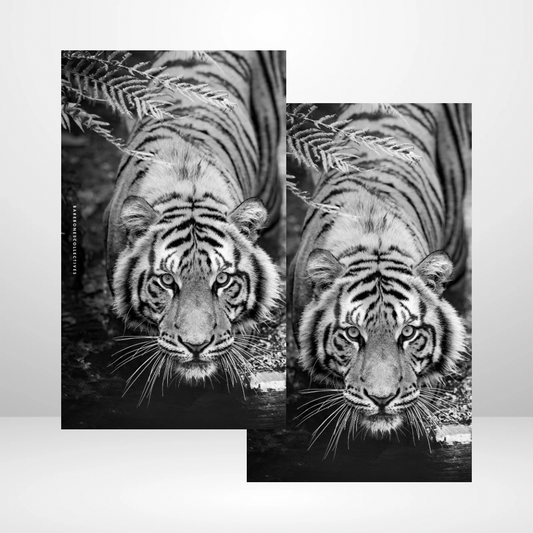 Hear me Roar Soft Touch Dashboard