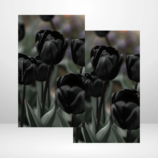 Black Tulips Soft Touch Dashboard