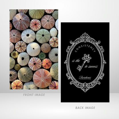 Colors Of The Sea Dashboard