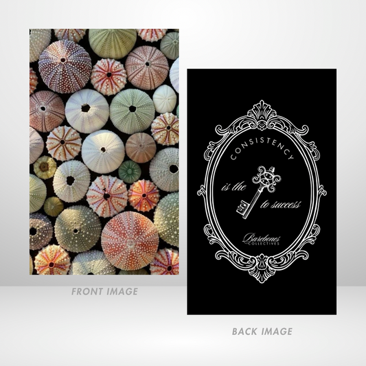 Colors Of The Sea Dashboard