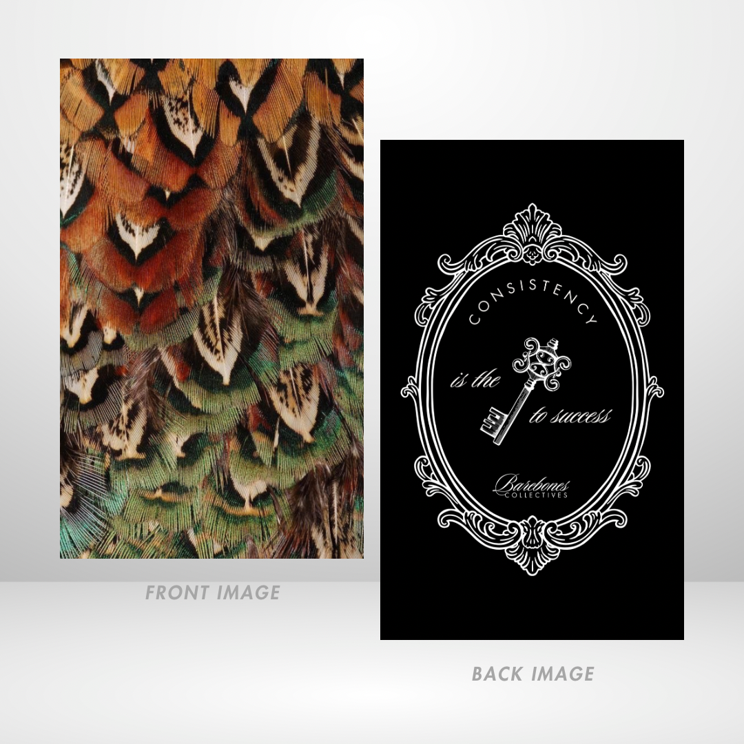 Birds Of A Feather Dashboard