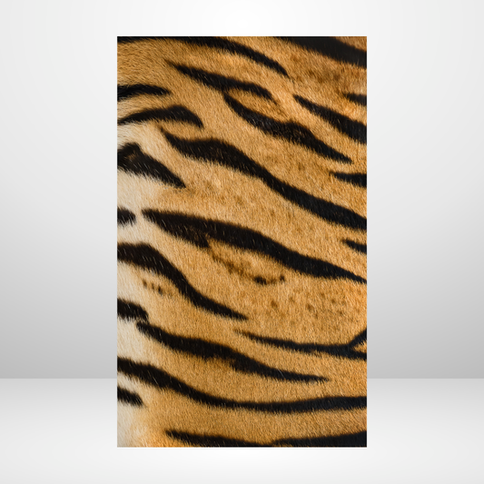 Tiger Fur Dashboard