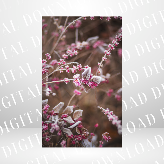 #13 Christmas Vibes - Personal Size Dashboard DIGITAL DOWNLOAD