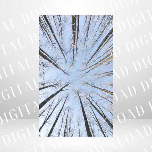 #15 Christmas Vibes - Personal Size Dashboard DIGITAL DOWNLOAD