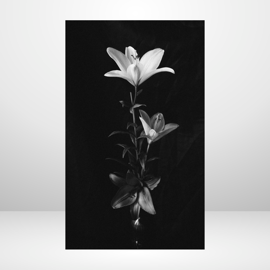 Out of the Darkness Dashboard