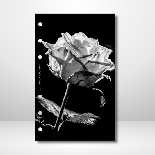 White Rose Linen Dashboard