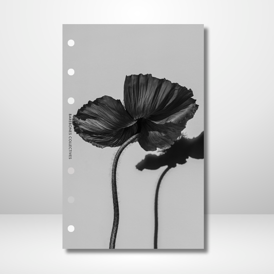 Aesthetic Linen Dashboard