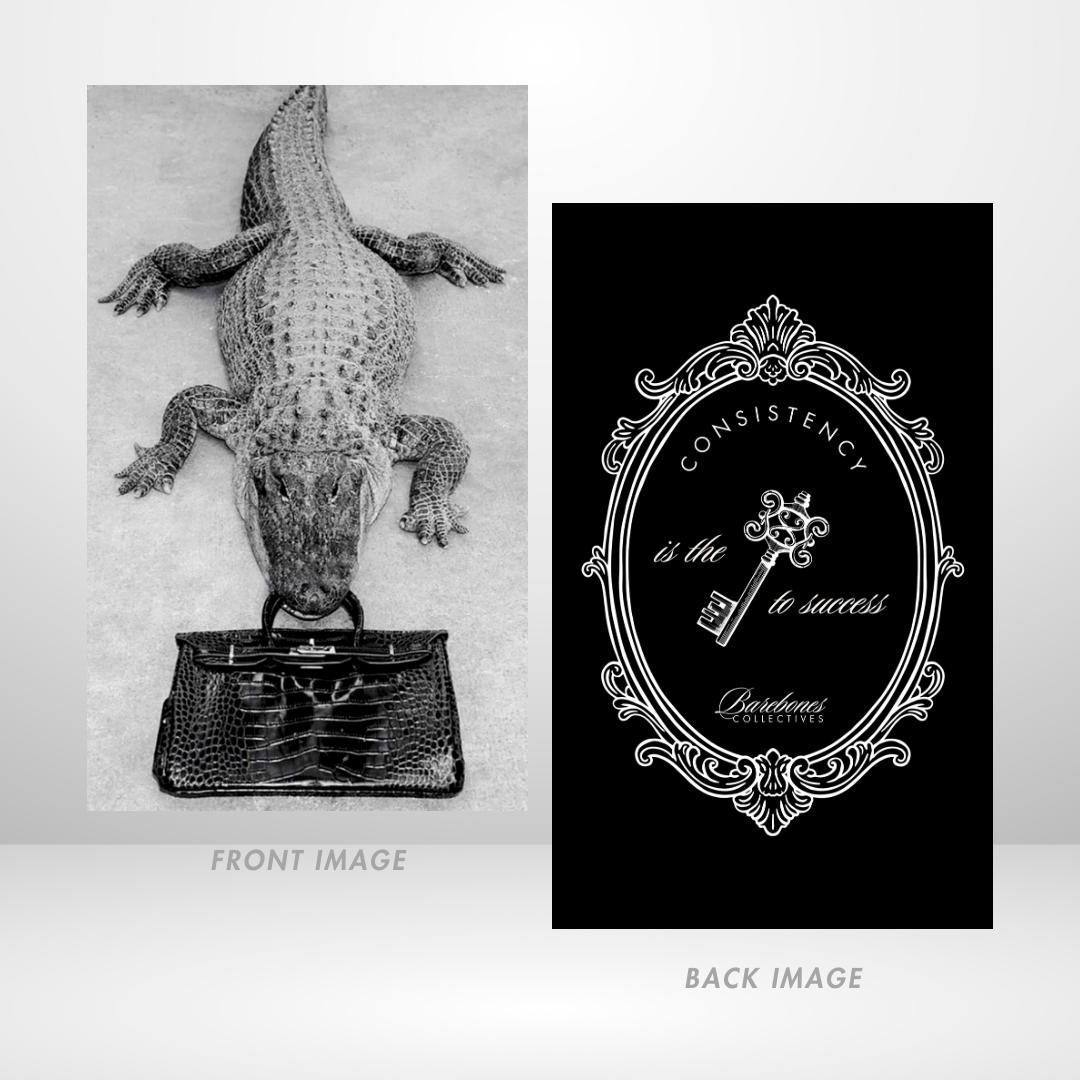 A Bag That Bites Dashboard