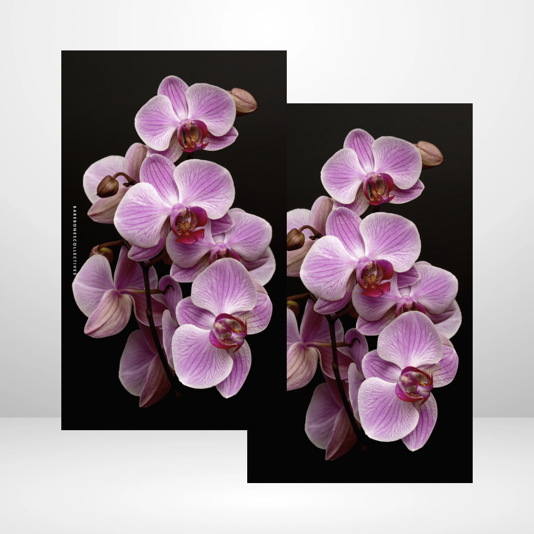 Electric Orchids Soft Touch Dashboard