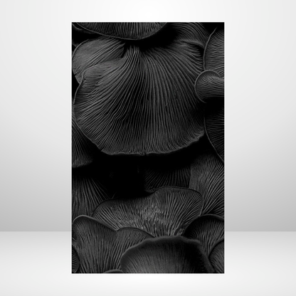 Gothic Mushroom Dashboard