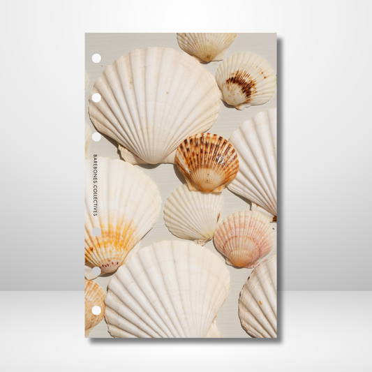 Summer Shells Linen Dashboard