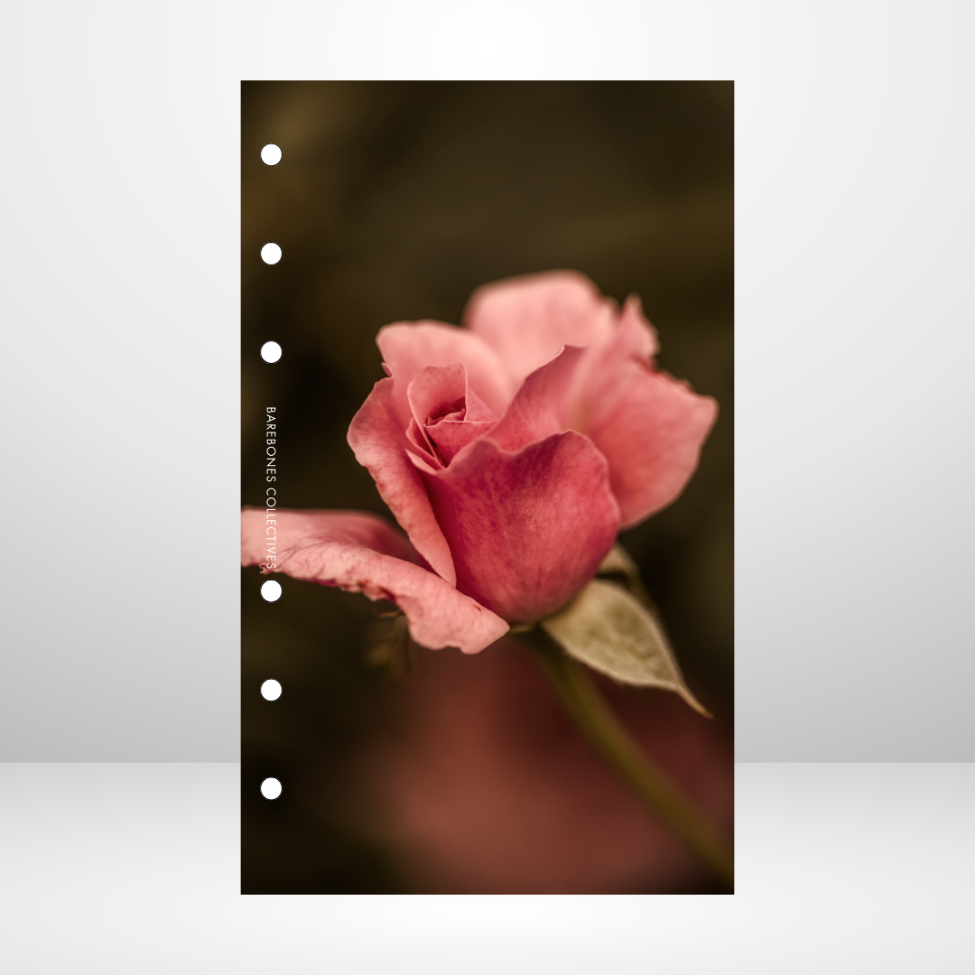 Dead Roses #4 Linen Dashboard