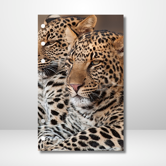 Leopard Linen Dashboard