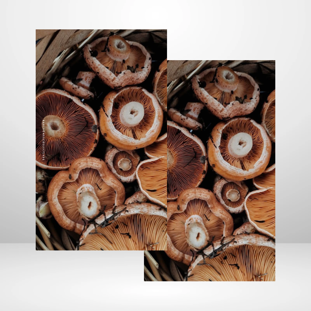 Autumn Mushrooms Soft Touch Dashboard