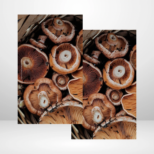 Autumn Mushrooms Soft Touch Dashboard