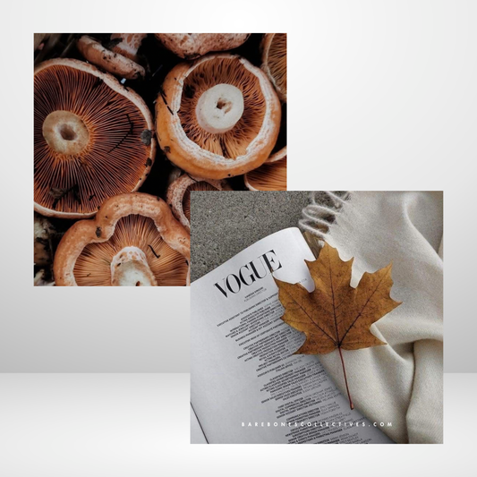 Novembers Mood Cards