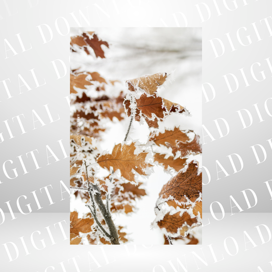 #6 Christmas Vibes - Personal Size Dashboard DIGITAL DOWNLOAD
