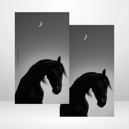 Horse in the night Soft Touch Dashboard