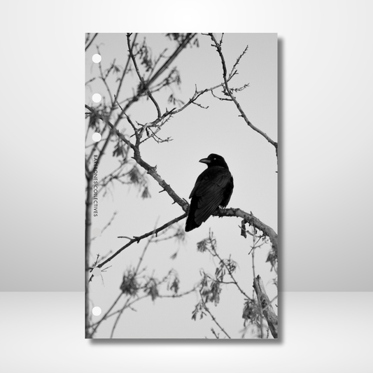Raven Linen Dashboard