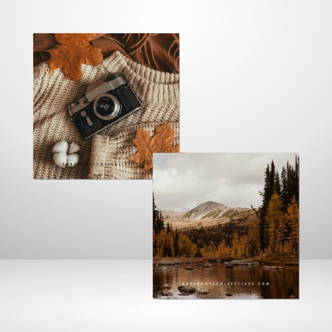 Autumn Archives Mood Cards