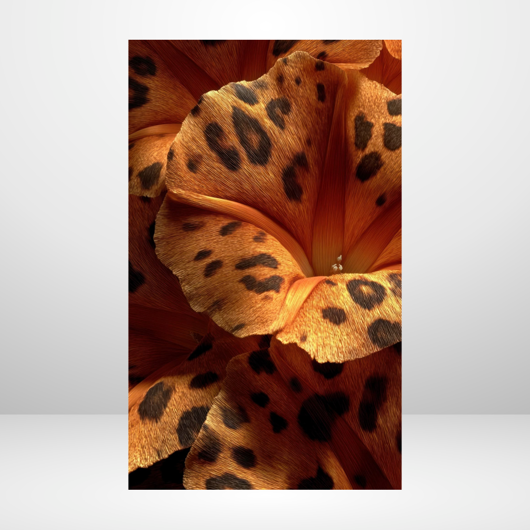 Asiatic Lily Dashboard