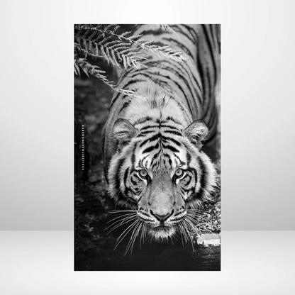 Hear me Roar Soft Touch Dashboard