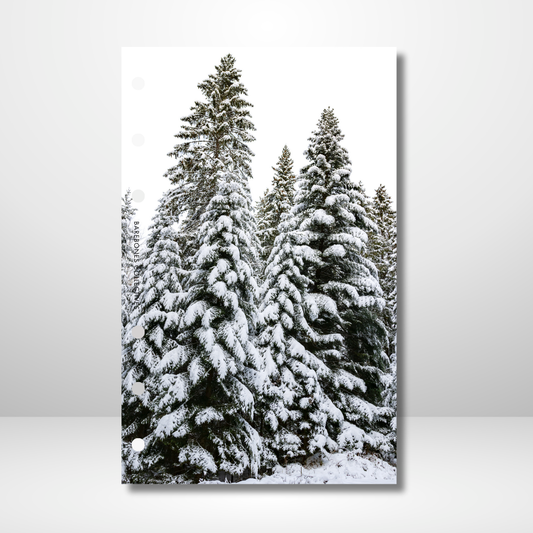 Winter Pine Trees Linen Dashboard