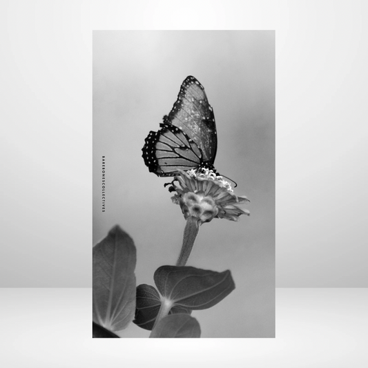 Baby Butterfly Soft Touch Dashboard