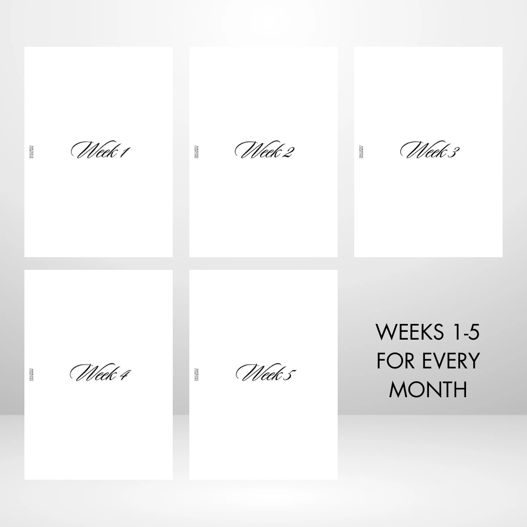 Barebones Budget Planner A5 Inserts