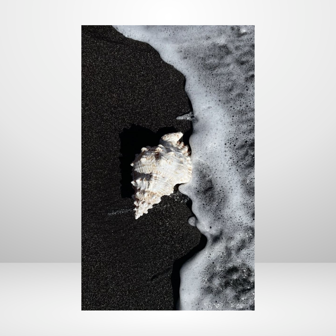 Silent Beach Dashboard