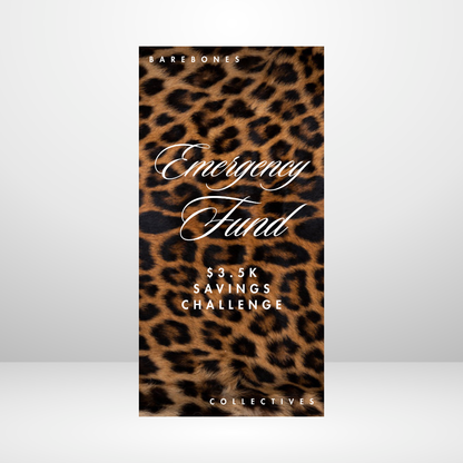 Emergency Fund Leopard Savings Challenge