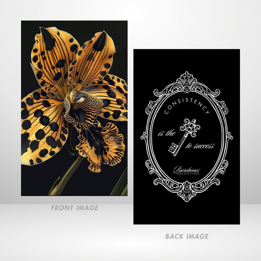 Leopard Lilly Dashboard