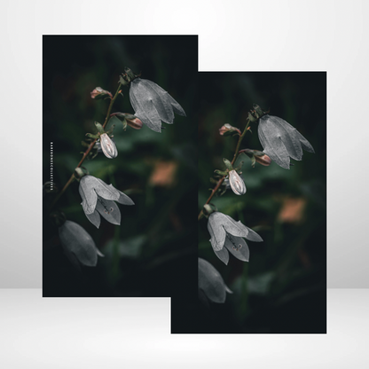 Snow Drops Soft Touch Dashboard