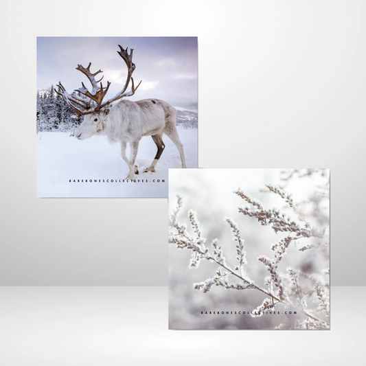 The Arctic Edit Mood Cards