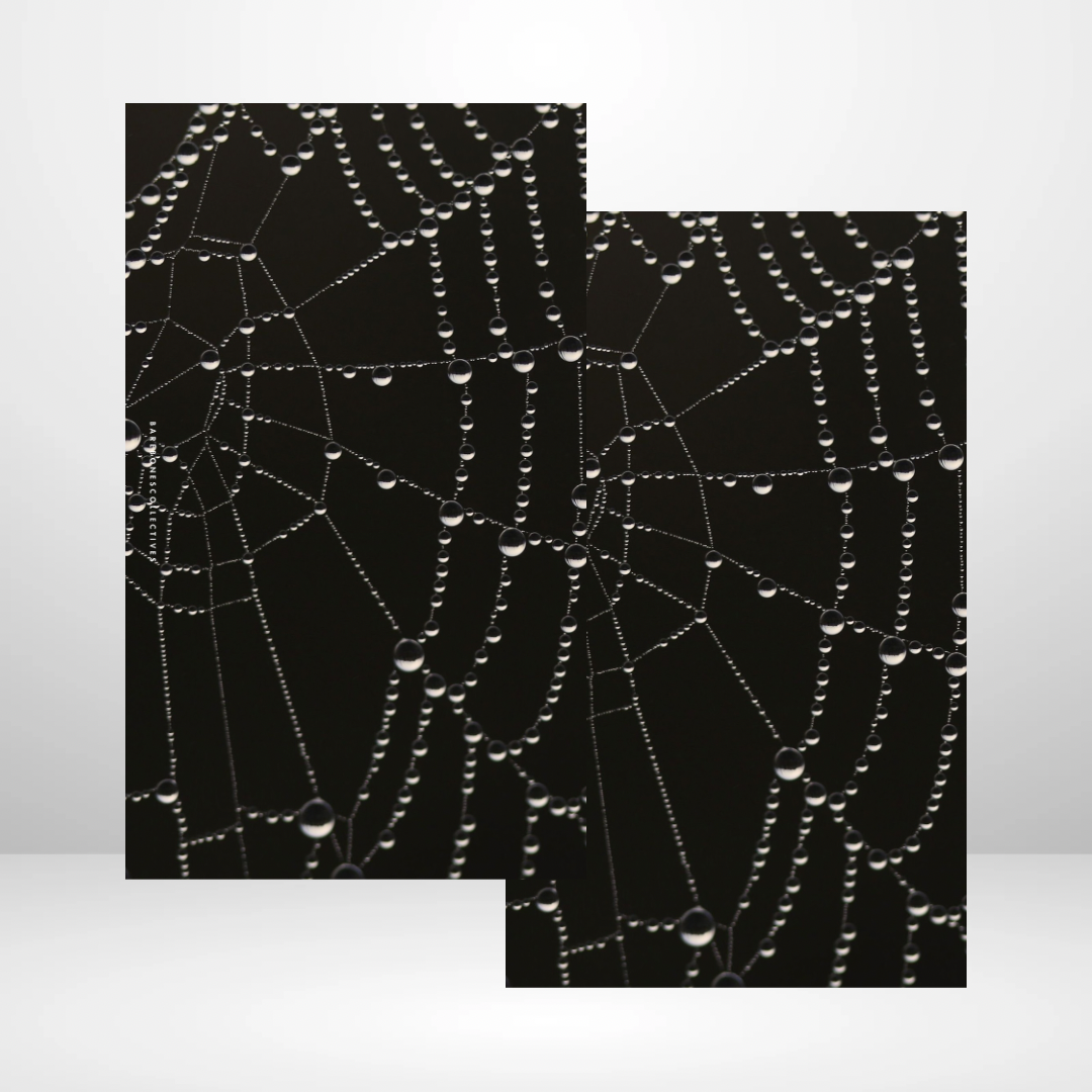 Spider Web Soft Touch Dashboard