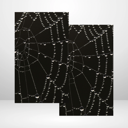 Spider Web Soft Touch Dashboard