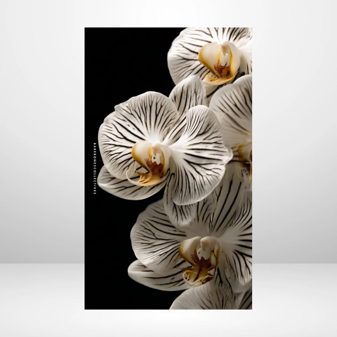 Zebra orchids Soft Touch Dashboard