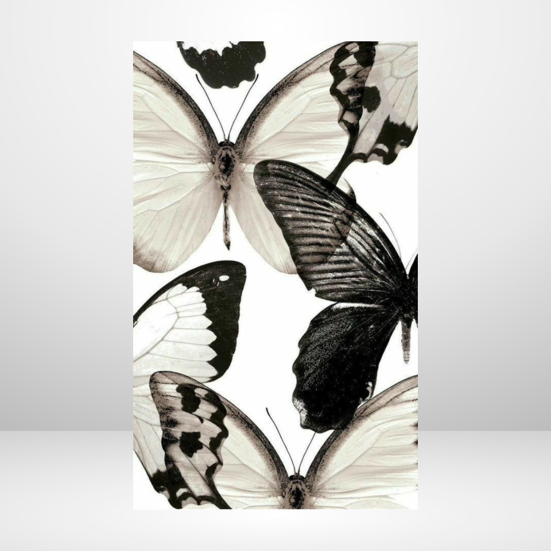 Metamorphosis Dashboard