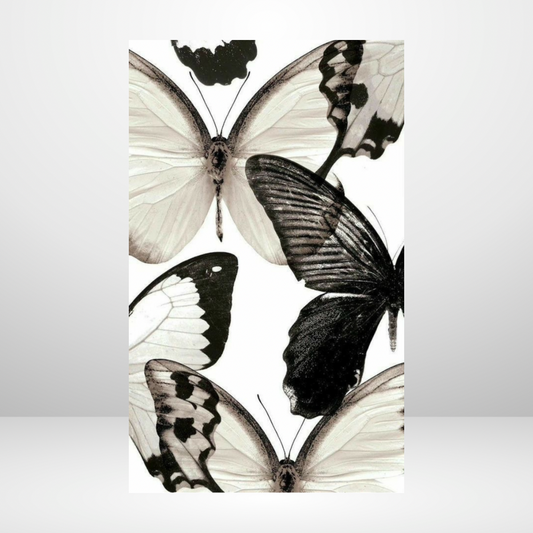 Metamorphosis Dashboard