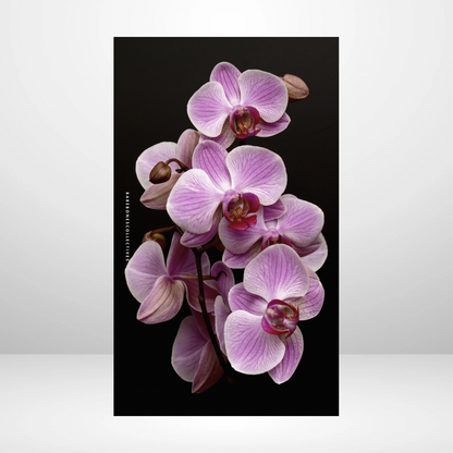 Electric Orchids Soft Touch Dashboard