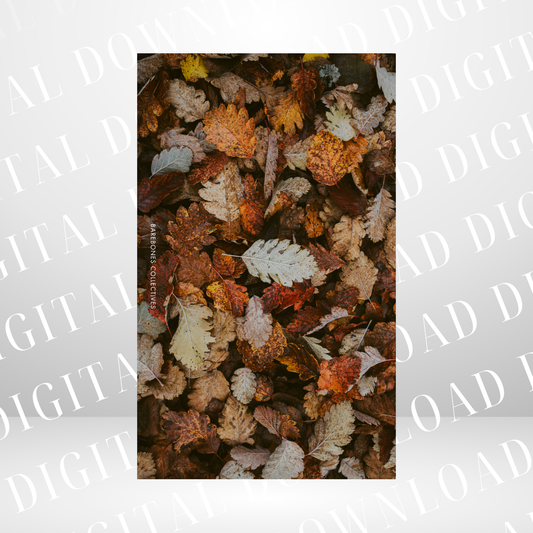 #10 Halloween Spooky - Personal Size Dashboard DIGITAL DOWNLOAD