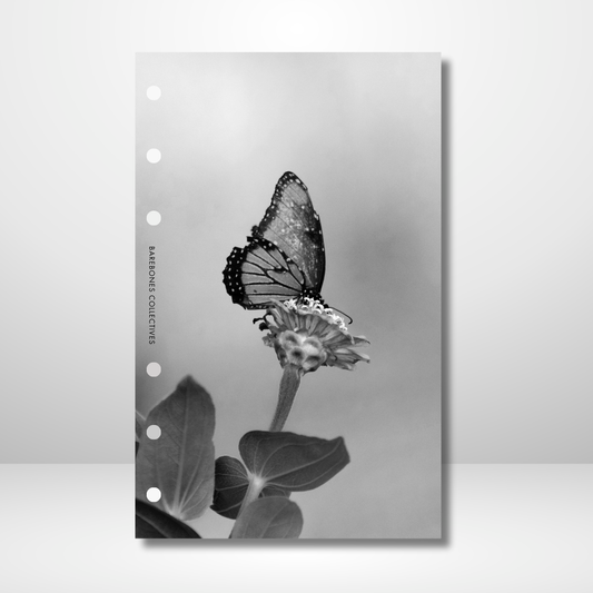 Little Butterfly Linen Dashboard