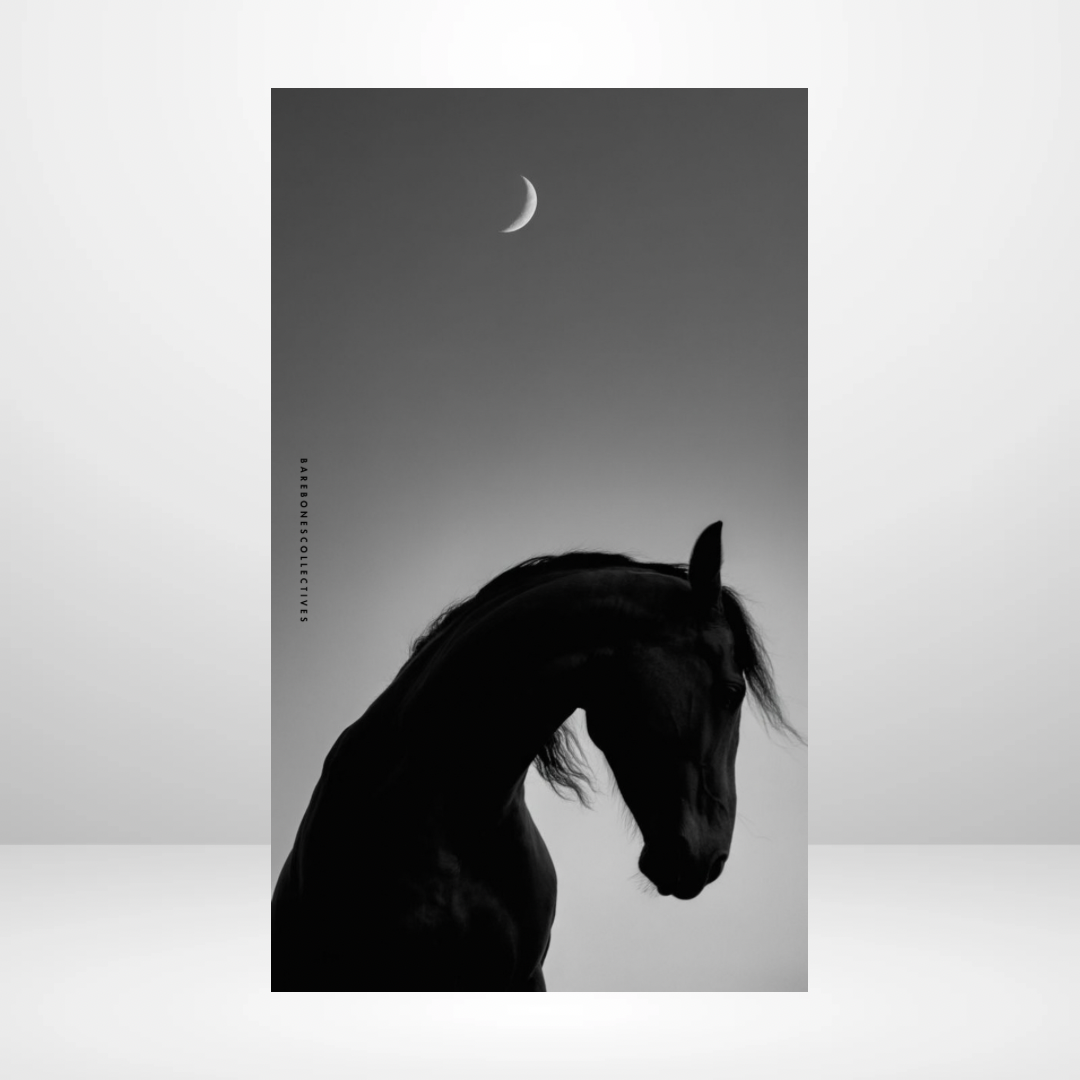 Horse in the night Soft Touch Dashboard